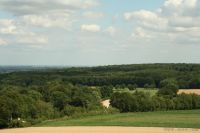 Sommerfest Baumberge 2010.1 612